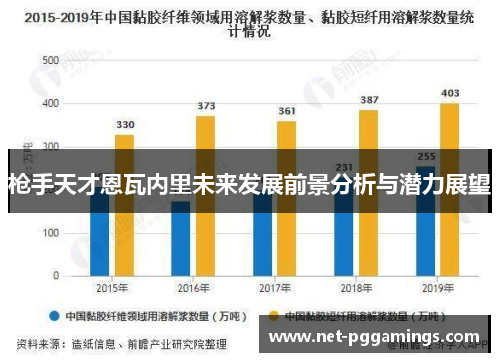 枪手天才恩瓦内里未来发展前景分析与潜力展望